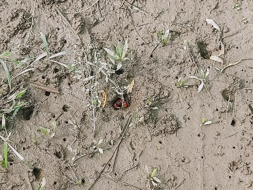 image013 image013