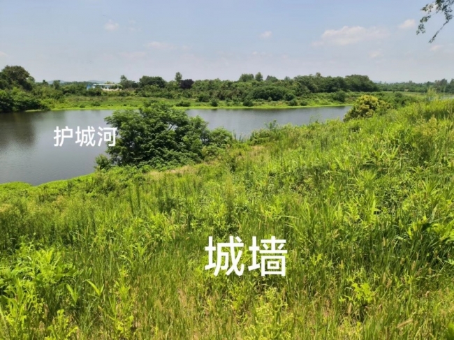 美加墨世界杯官方网站
