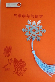 图片13