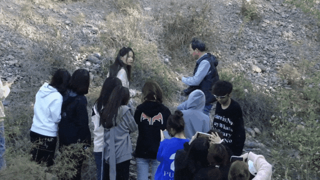 6.gif