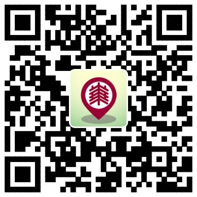 美加墨世界杯官方网站