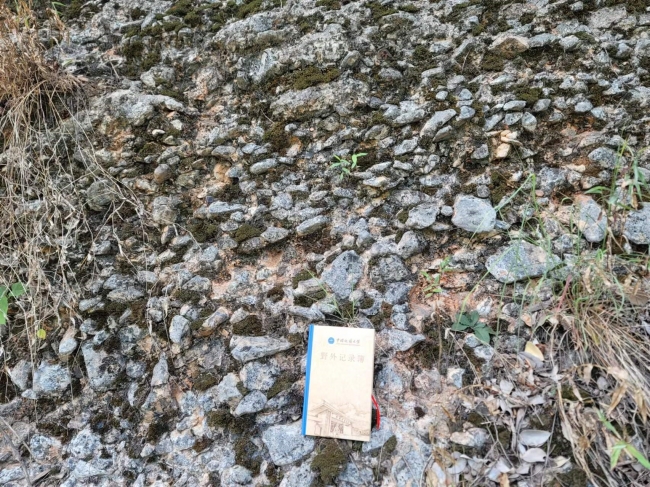 美加墨世界杯官方网站