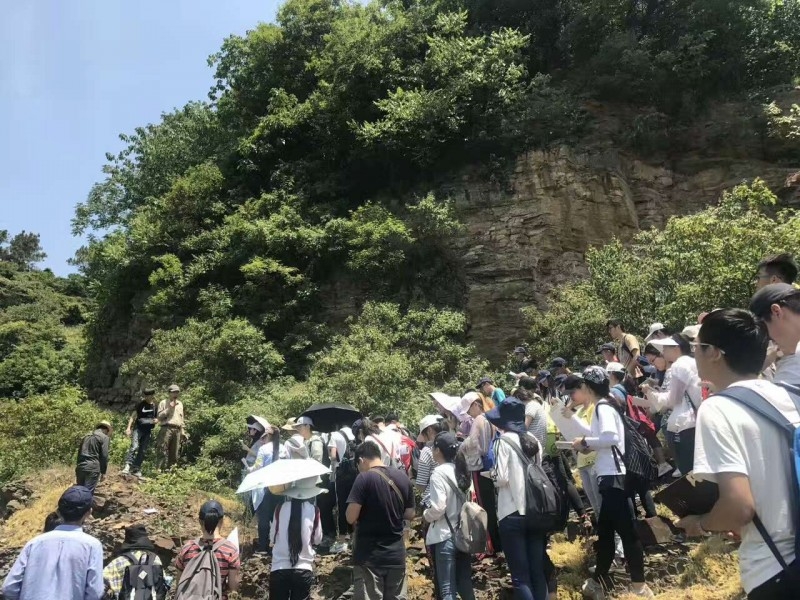 微信图片_20170613112752